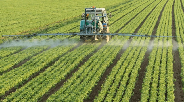 Científicos de Nueva Zelanda descartan que el herbicida glifosato sea cancerígeno