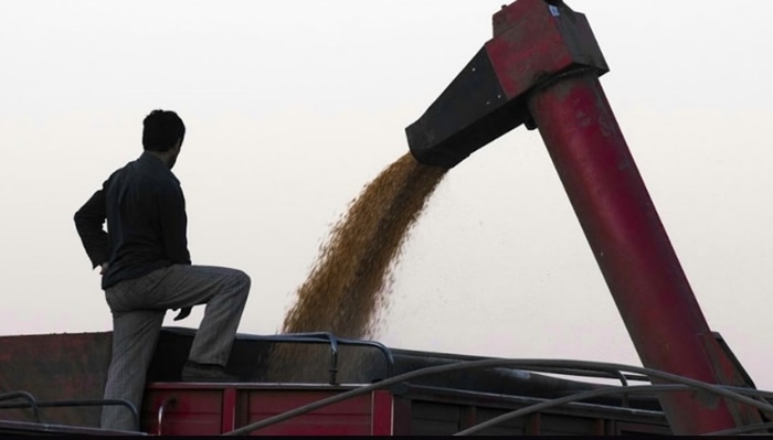 Por qué la fusión entre Monsanto y Bayer beneficiará la producción de alimentos