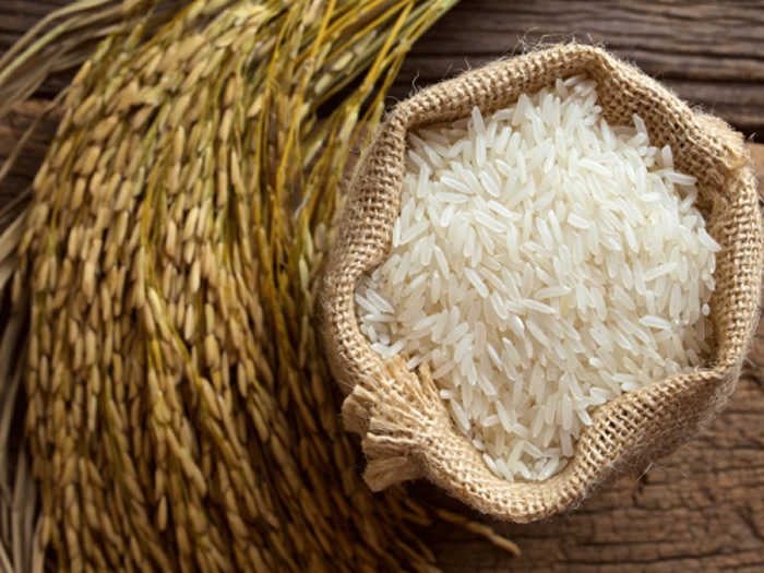 Desarrollan arroz editado genéticamente más saludable que mejora los niveles de azúcar en sangre