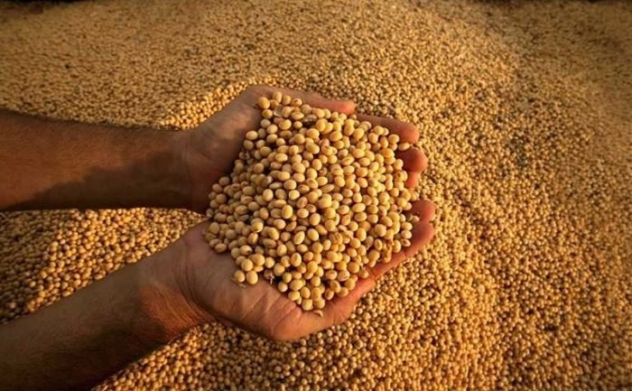 Brasil ya cosechó el 63% de la soja