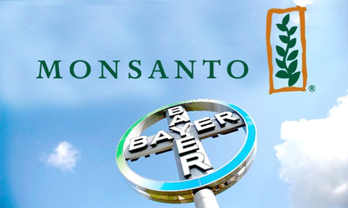Bayer y Monsanto serán una sola empresa en la Argentina