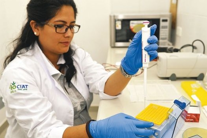 El CIAT instala laboratorio de biotecnología
