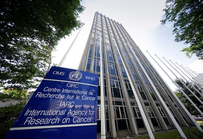 La Agencia Internacional de Investigación del Cáncer (IARC) quedó en evidencia luego de las pruebas sobre el Glifosato.