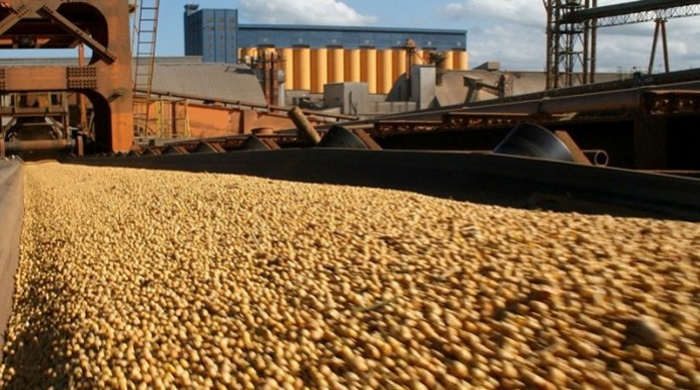 Se concretó la mayor cosecha de soja y maíz del Mercosur