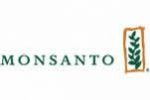 Monsanto despeja USDA obstáculo regulatorio para el nuevo maíz transgénico