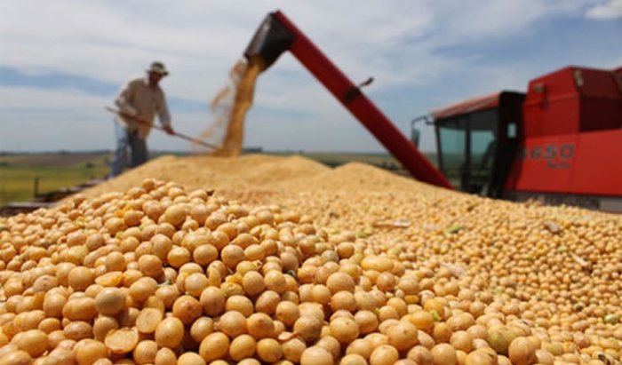 Brasil superará a Estados Unidos como el mayor productor de soja para 2026