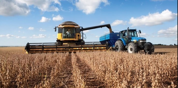 Argentina y OGM: Explorando la larga relación de la nación con los cultivos biotecnológicos 