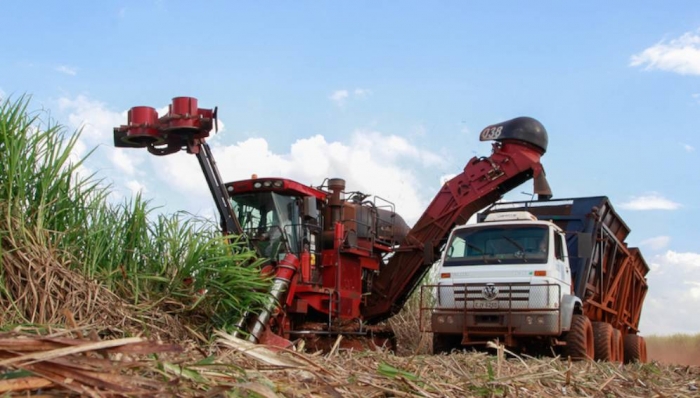 Brasil: en duda fusión de ministerios de Ambiente y Agricultura