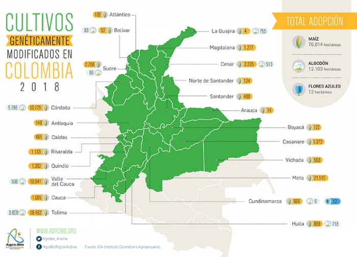 Los cultivos transgénicos siguen marcando terreno en Colombia