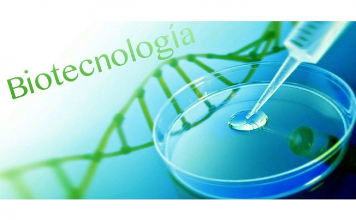  ¿Por qué es segura la biotecnología? 