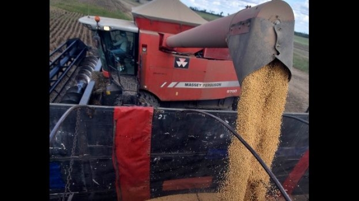 Bolivia: El Gobierno autoriza exportar el 60% de la producción de soya