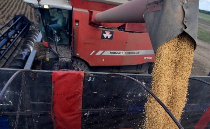  Bolivia: El Gobierno autoriza exportar el 60 % de la producción de soya 