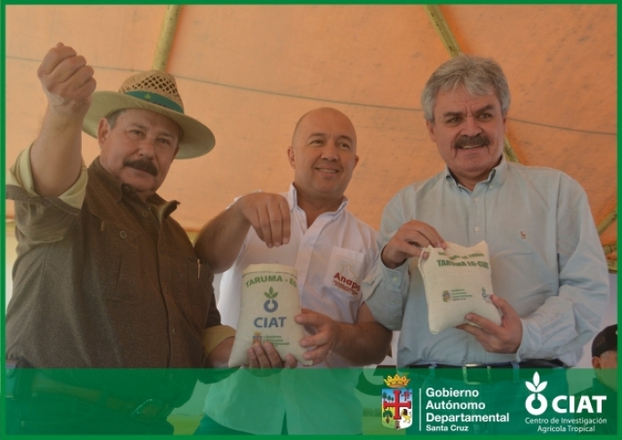 CIAT aportó nueva variedad de trigo para fortalecer la seguridad alimentaria de Bolivia