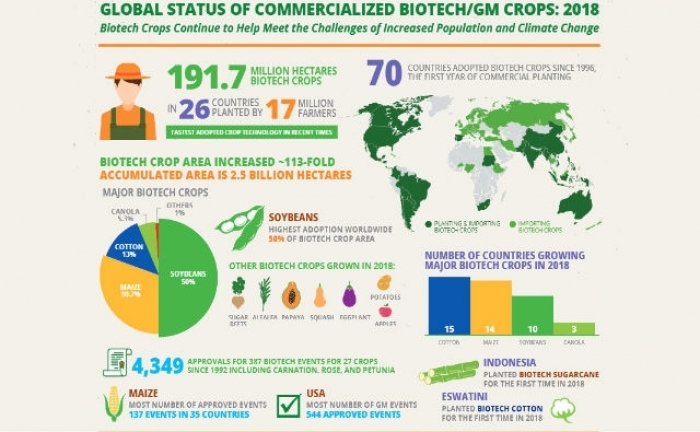 Un total de 70 países adoptaron cultivos biotecnológicos a través de la siembra y la importación en 2018