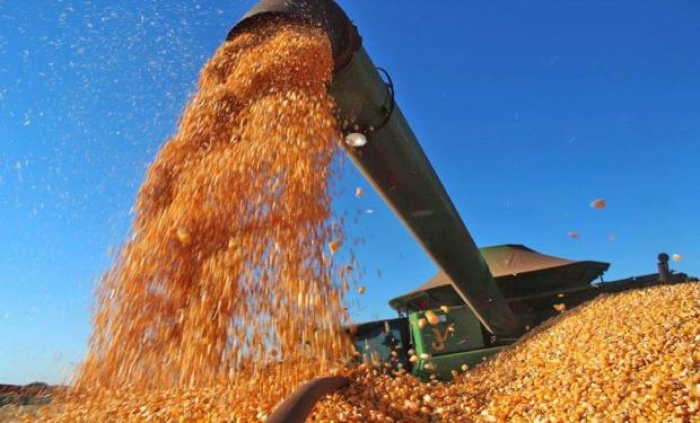 Sin precedentes: Brasil cosechó un récord de 242 millones de toneladas de granos
