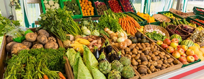 El IICA y 7 países de Latinoamérica, entre ellos Bolivia, definen el tránsito de alimentos