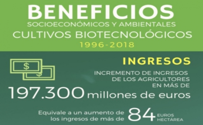 La biotecnología de cultivos continúa proporcionando mayores ingresos a los agricultores y beneficios ambientales significativos