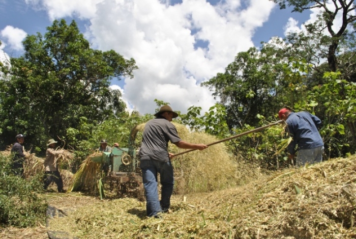 Identifican medidas de adaptación climáticas para los agricultores de América Latina