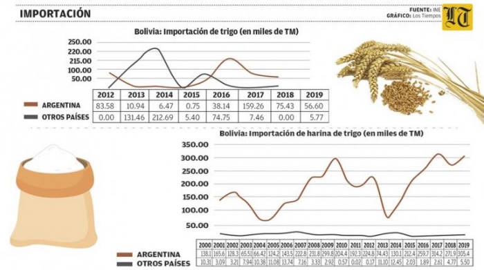  Aprobación de trigo transgénico en Argentina: ¿cómo incide en Bolivia?