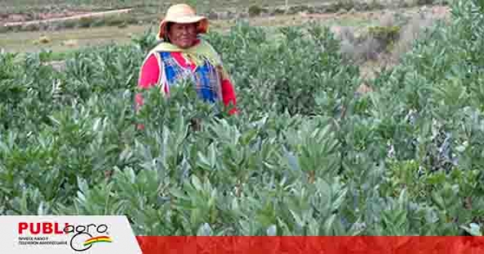 La agricultura resiliente en el altiplano boliviano es una alternativa ante el cambio climático
