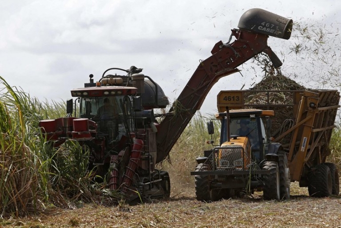 Secretario brasileño destaca el auge agrícola y la necesidad de apoyo técnico