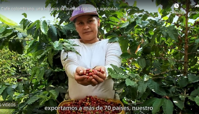 Café colombiano, una historia de buenas prácticas agrícolas