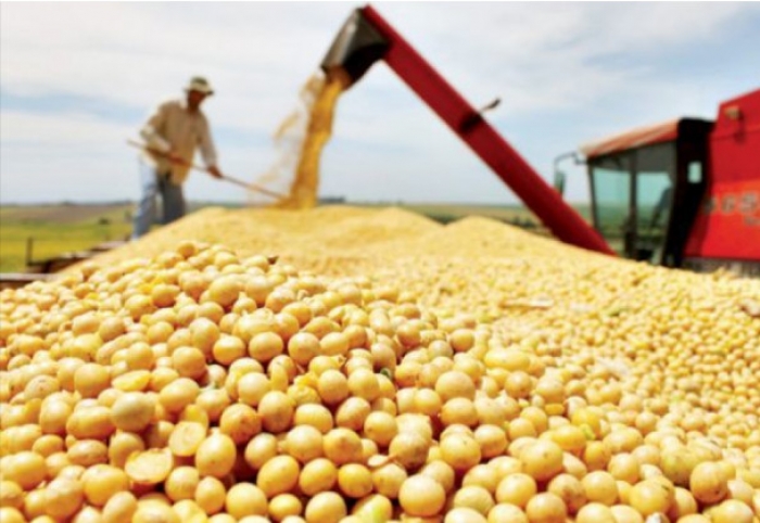 Bolivia incrementa exportación de alimentos en 49% en el primer cuatrimestre del año