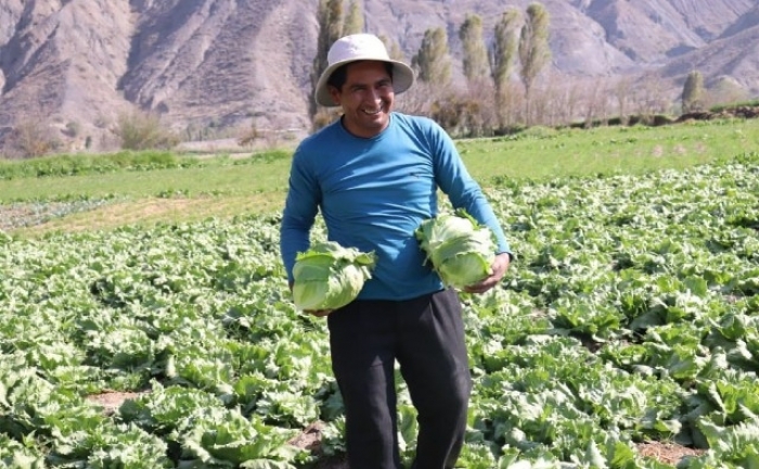  Seguro agrícola que protege a los pequeños productores de Bolivia 