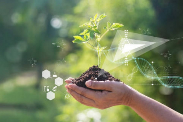 Biotecnología agrícola, en busca de una agricultura sostenible y eficaz