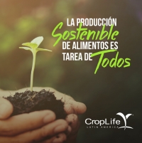 La producción sostenible de alimentos es tarea de todos