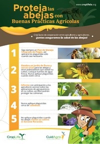 Proteja las abejas con Buenas Prácticas Agrícolas