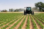 Argentina y Bolivia analizan posibilidad de incrementar cooperación en agricultura