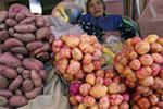 FAO: El comercio mundial de alimentos crecerá pese a posibles perturbaciones