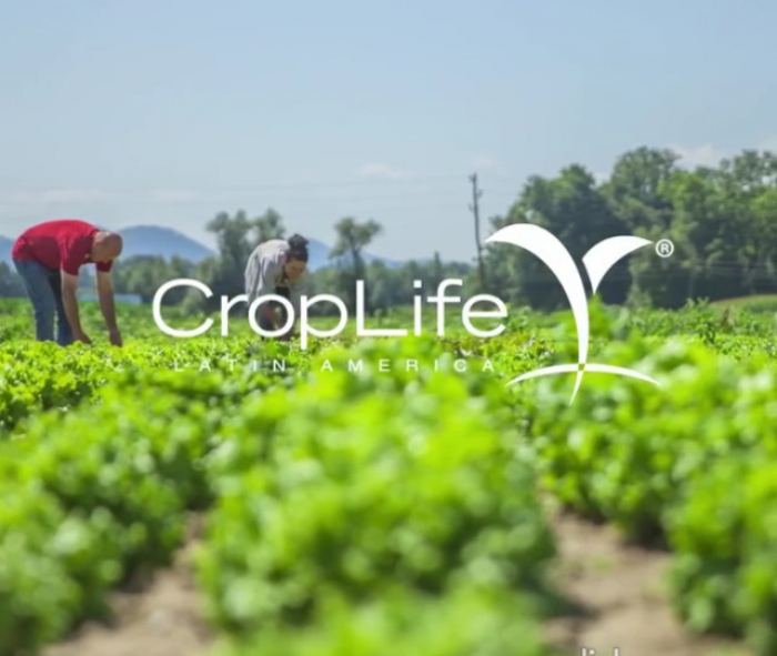 En el 2020, la Red de Asociaciones de CropLife Latin America entrenó a 144.154 personas en el uso responsable de productos fitosanitarios