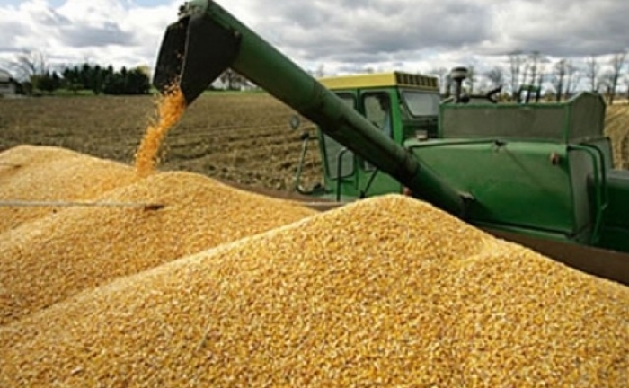  Productores de soya en Santa Cruz podrán asegurar sus cultivos 