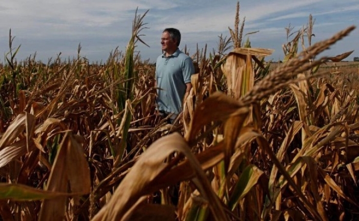 La producción agrícola de Argentina sufre los efectos de la sequía prolongada 